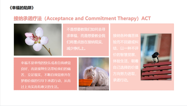 做爱片